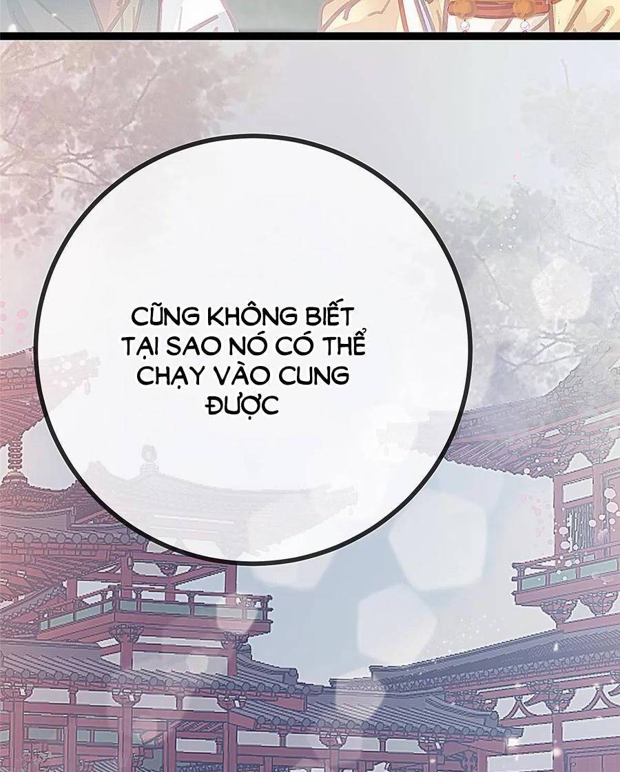 Quý Phi Muốn Trở Thành Con Cá Mặn Mòi Chapter 44 - 5
