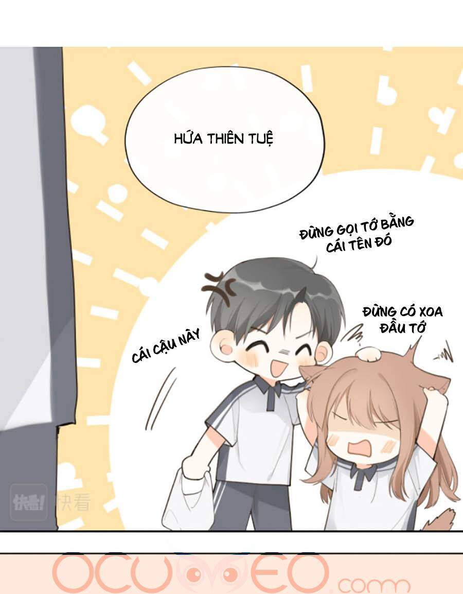 Tình Yêu Duy Nhất Của Tôi Chapter 14 - 22