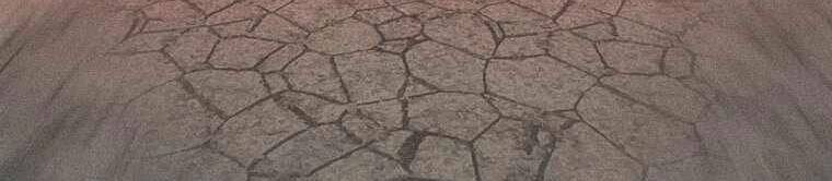 Thực Thư Pháp Sư Chapter 44 - 218