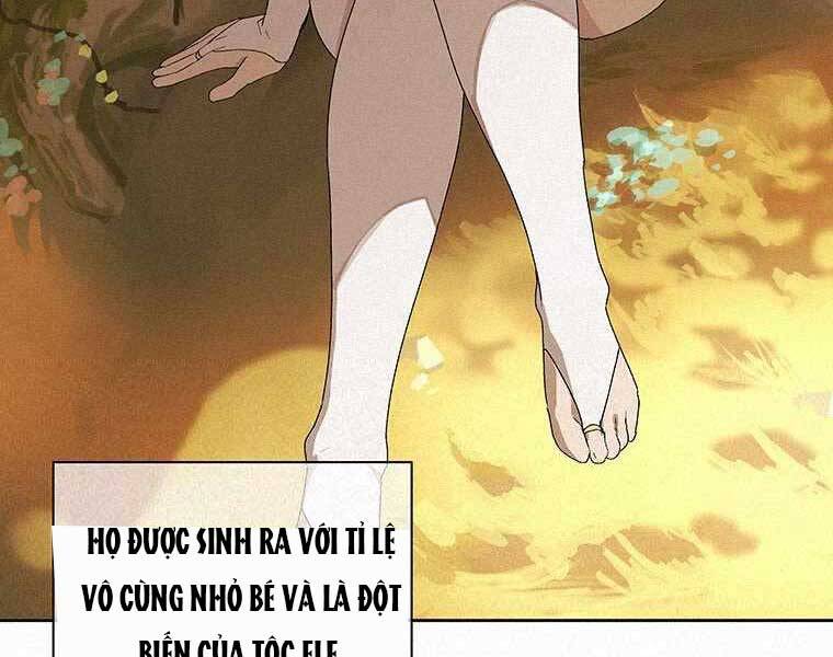 Thực Thư Pháp Sư Chapter 53 - 73