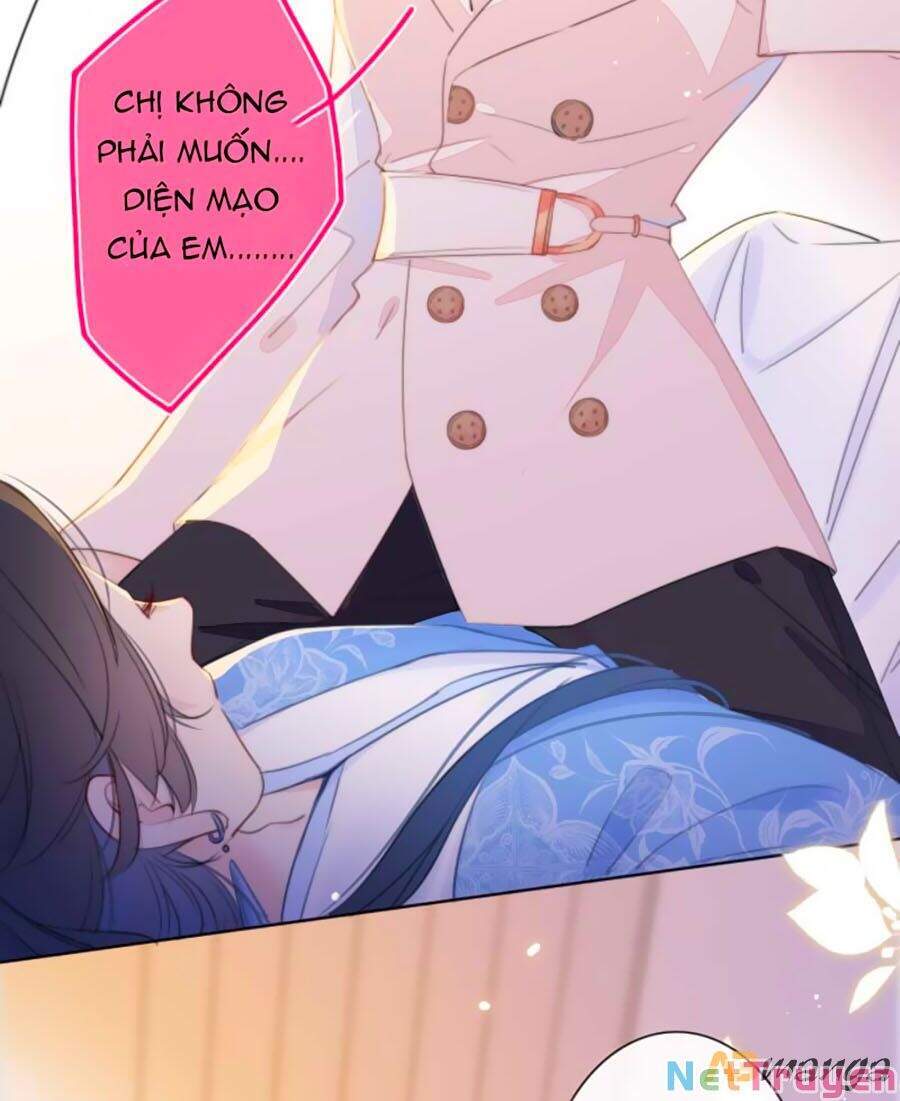 Kim Ốc Tàng Kiều Chapter 13 - 28