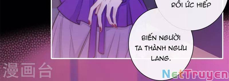 Kim Ốc Tàng Kiều Chapter 42 - 7