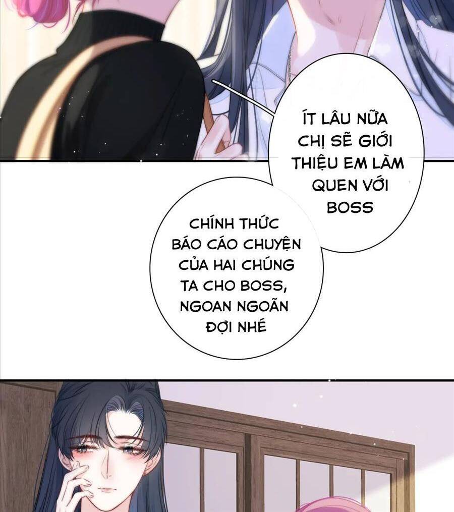 Kim Ốc Tàng Kiều Chapter 50 - 33