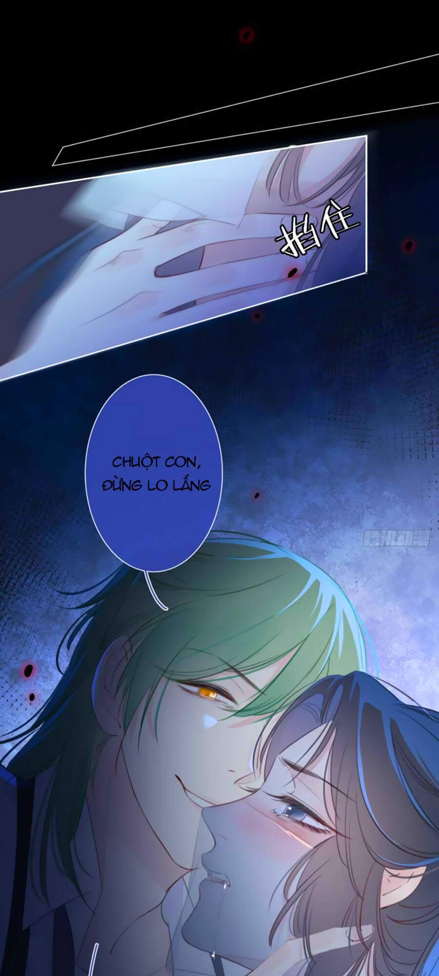 Kim Ốc Tàng Kiều Chapter 16 - 34