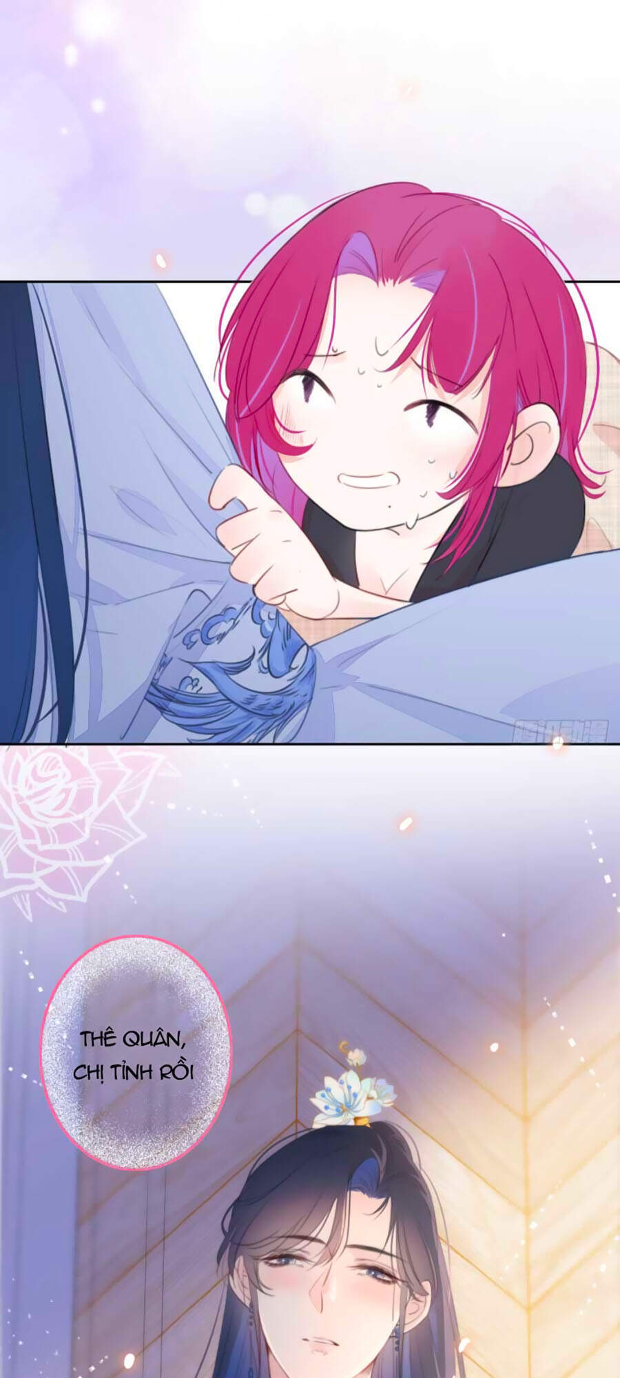 Kim Ốc Tàng Kiều Chapter 16 - 40