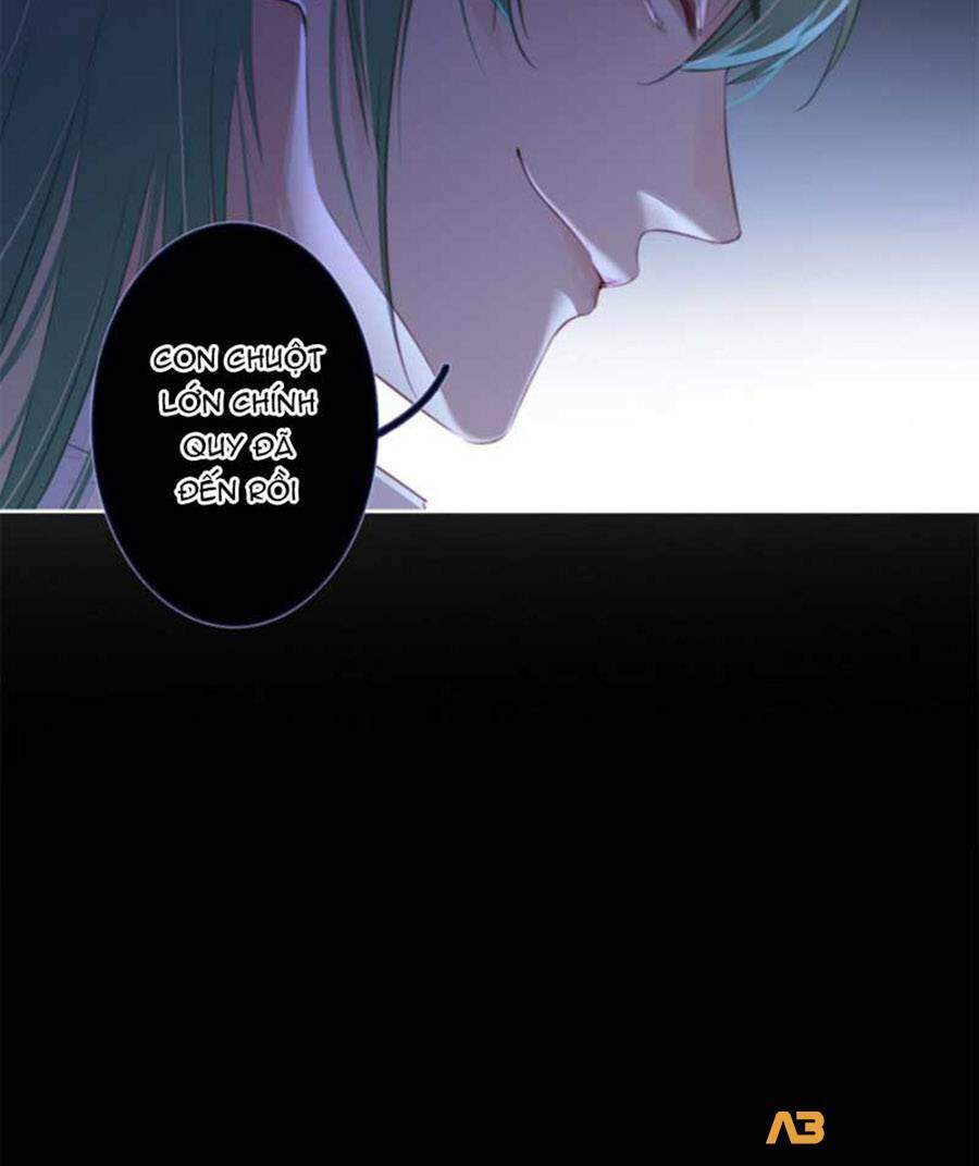 Kim Ốc Tàng Kiều Chapter 27 - 24