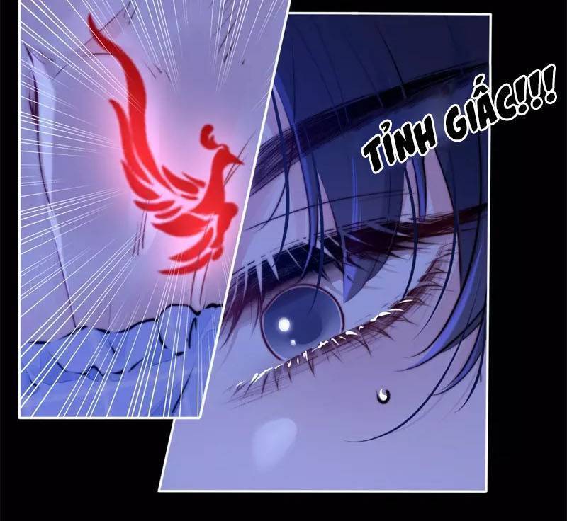 Kim Ốc Tàng Kiều Chapter 41 - 17