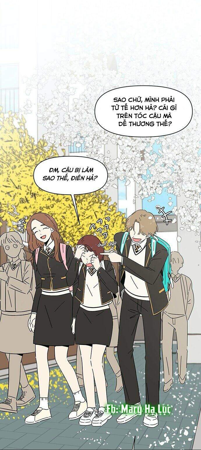 Thanh Xuân Rực Rỡ Chapter 1 - 16