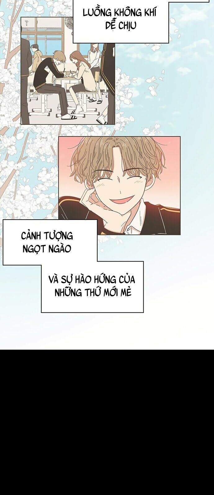 Thanh Xuân Rực Rỡ Chapter 26 - 49