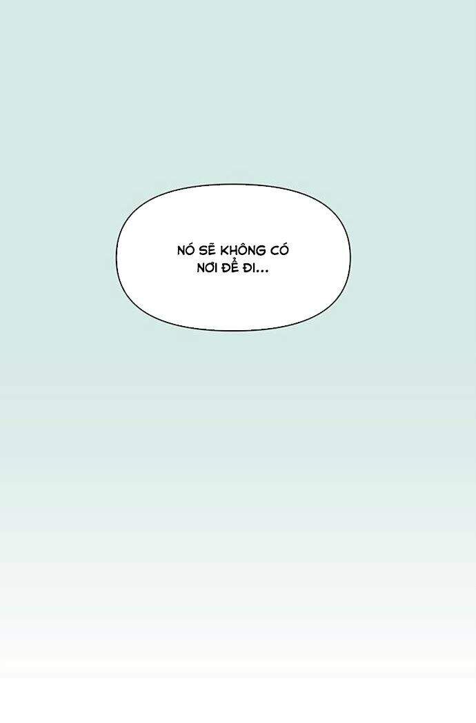 Thanh Xuân Rực Rỡ Chapter 38 - 16