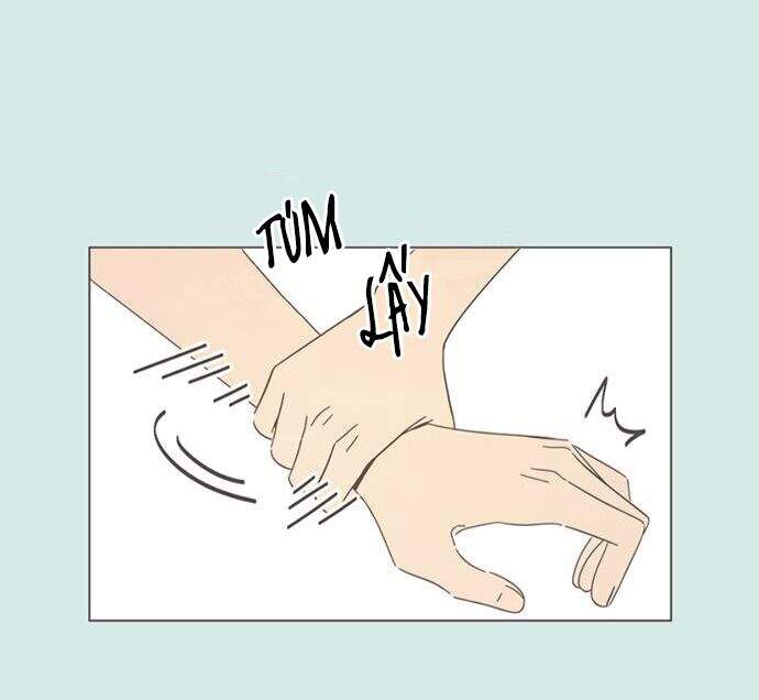 Thanh Xuân Rực Rỡ Chapter 41 - 43