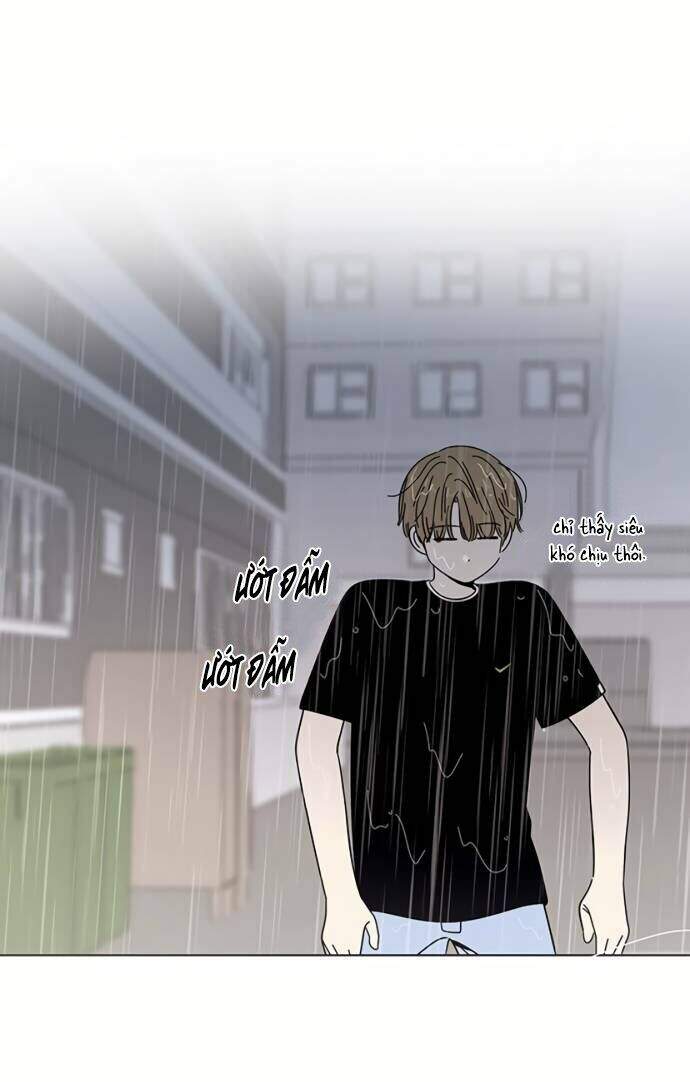 Thanh Xuân Rực Rỡ Chapter 41 - 53