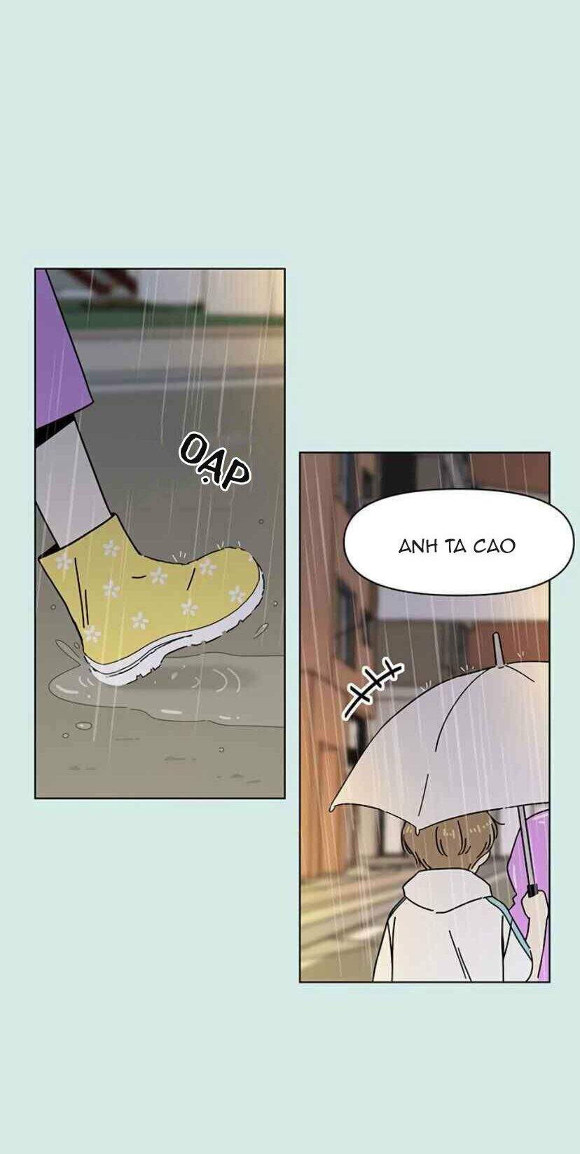 Thanh Xuân Rực Rỡ Chapter 52 - 23