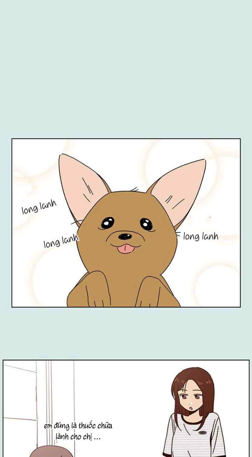 Thanh Xuân Rực Rỡ Chapter 52 - 45