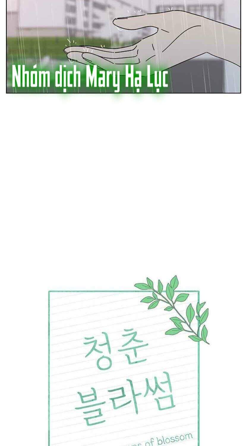 Thanh Xuân Rực Rỡ Chapter 53 - 28