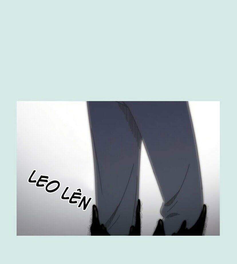 Thanh Xuân Rực Rỡ Chapter 55 - 37