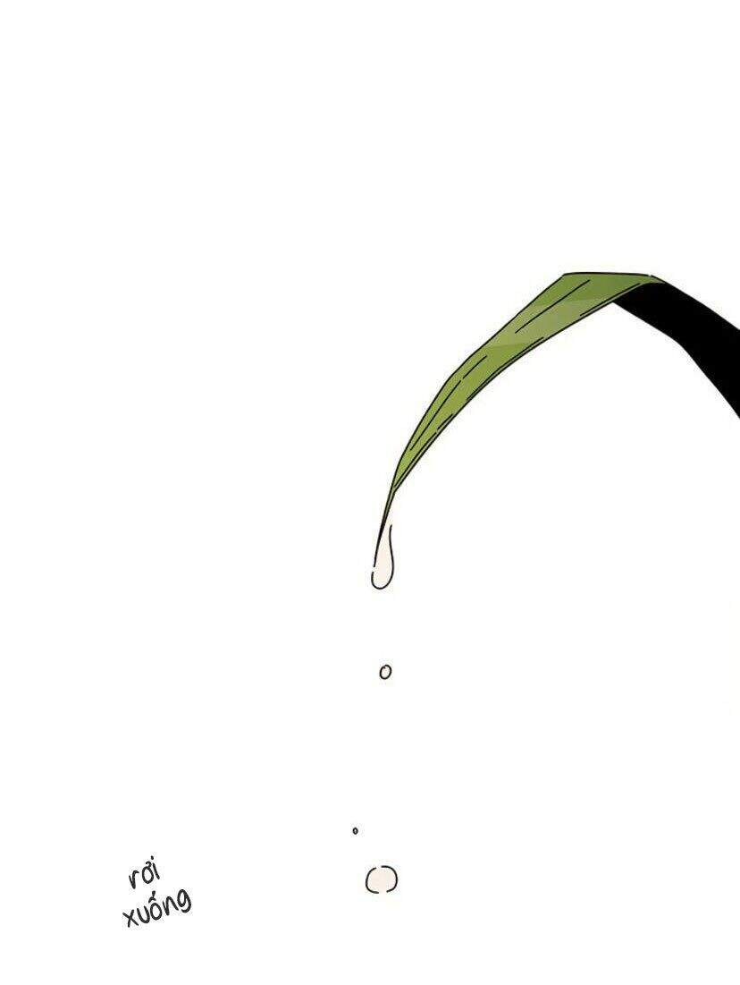 Thanh Xuân Rực Rỡ Chapter 55 - 86