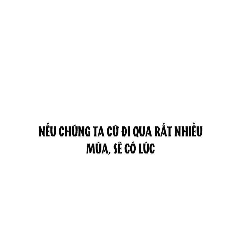 Thanh Xuân Rực Rỡ Chapter 59 - 88