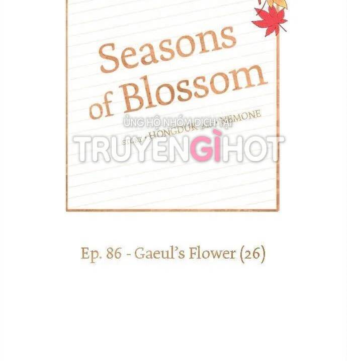 Thanh Xuân Rực Rỡ Chapter 86 - 61