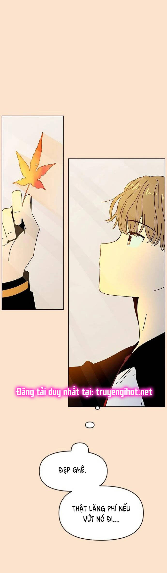 Thanh Xuân Rực Rỡ Chapter 87 - 6