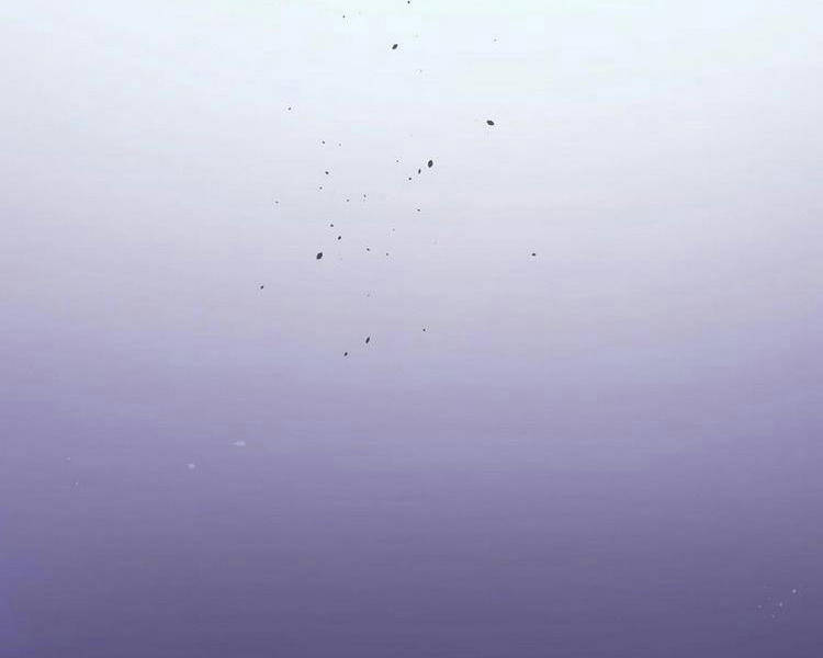 Toàn Bộ Tu Chân Giới Muội Tử Muốn Bắt Ta Chapter 65 - 55