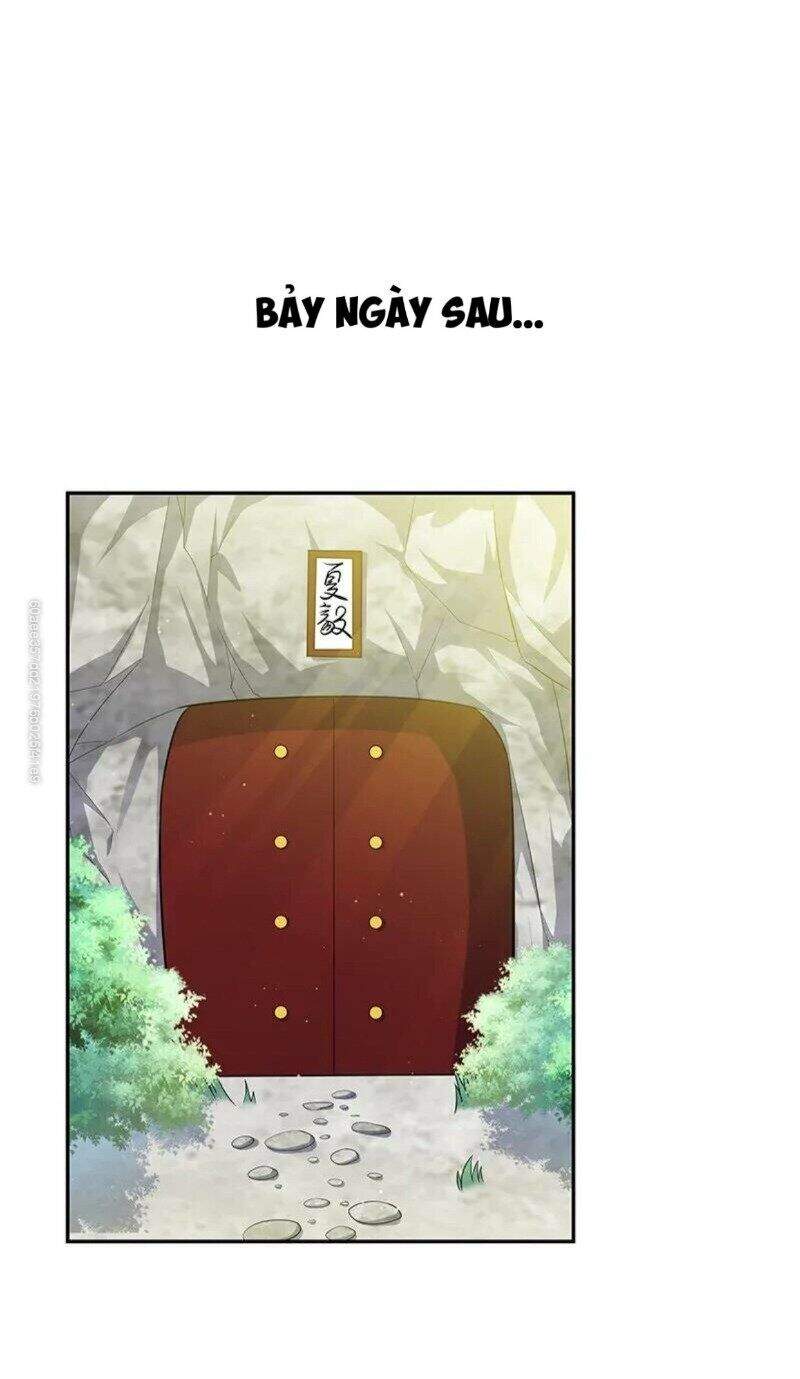 Toàn Bộ Tu Chân Giới Muội Tử Muốn Bắt Ta Chapter 8 - 28