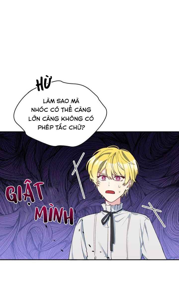 Người Bảo Hộ Của Bạo Quân Là Ma Nữ Tàn Độc Chapter 20 - 29