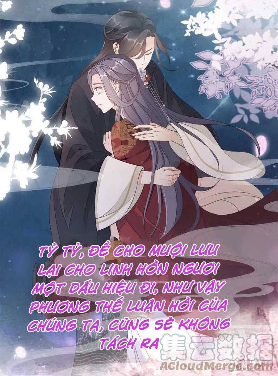 Mau Xuyên Không Rửa Tội Cho Nhân Vật Phản Diện Chapter 68 - 31