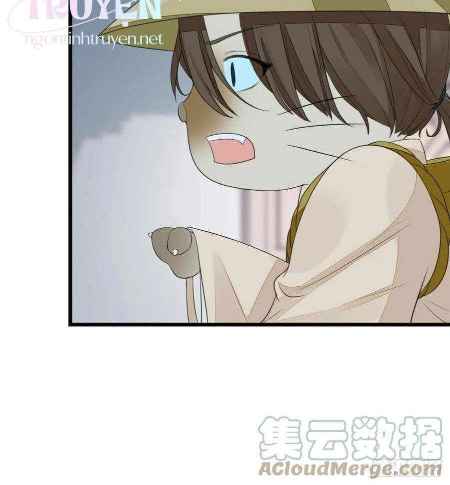 Mau Xuyên Không Rửa Tội Cho Nhân Vật Phản Diện Chapter 24 - 4