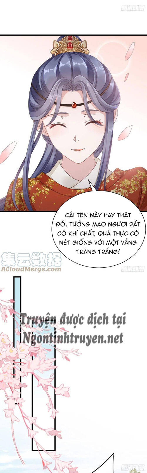 Mau Xuyên Không Rửa Tội Cho Nhân Vật Phản Diện Chapter 34 - 17