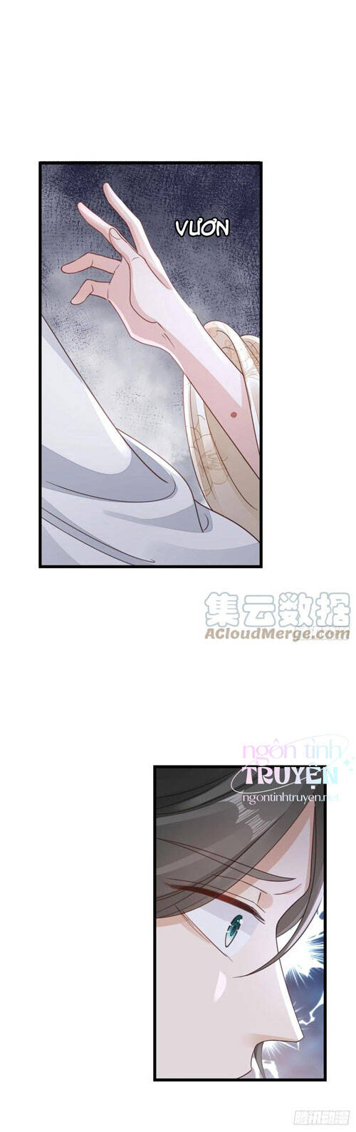 Mau Xuyên Không Rửa Tội Cho Nhân Vật Phản Diện Chapter 40 - 5