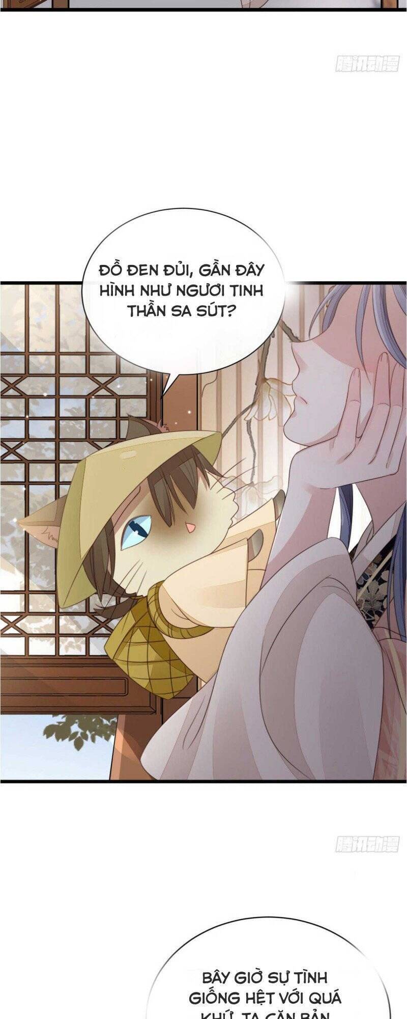 Mau Xuyên Không Rửa Tội Cho Nhân Vật Phản Diện Chapter 56 - 23