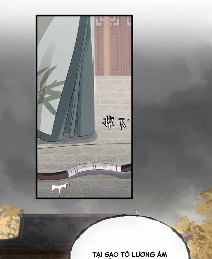 Mau Xuyên Không Rửa Tội Cho Nhân Vật Phản Diện Chapter 62 - 8