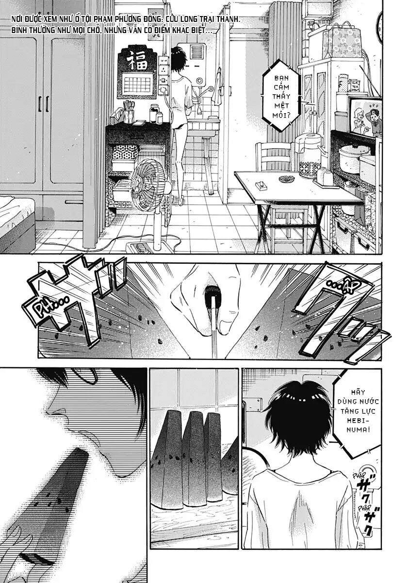 Kowloon Generic Romance Chapter 1 - 4