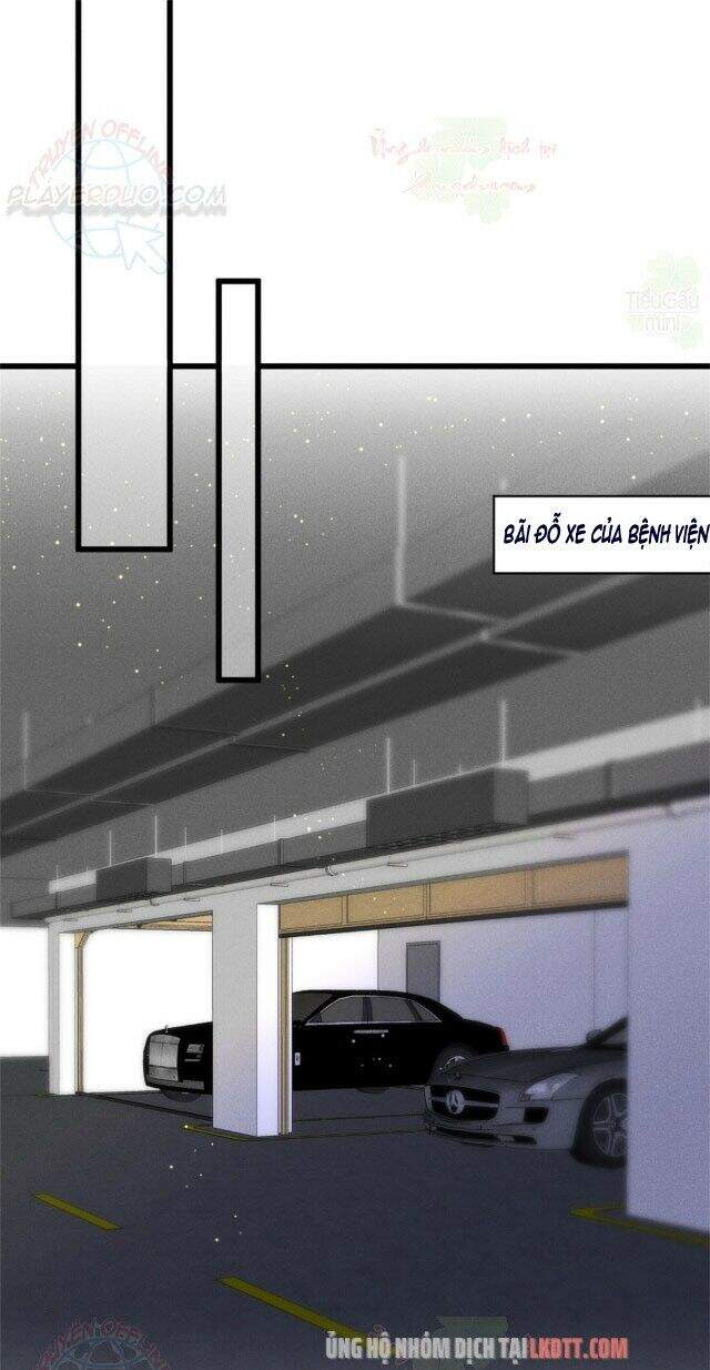 Tôi Trở Thành Tổ Tông Của 5 Vị Đại Lão Chapter 17 - 16