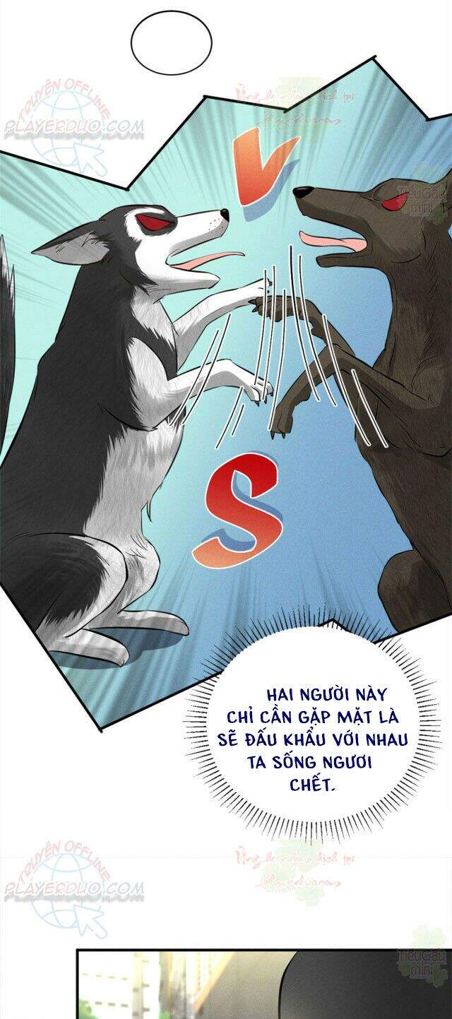 Tôi Trở Thành Tổ Tông Của 5 Vị Đại Lão Chapter 19 - 23