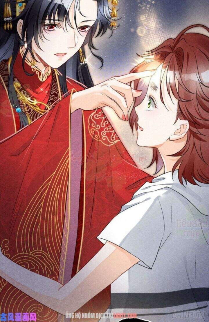 Tôi Trở Thành Tổ Tông Của 5 Vị Đại Lão Chapter 2 - 43