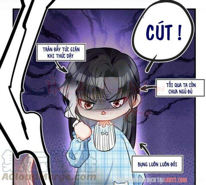 Tôi Trở Thành Tổ Tông Của 5 Vị Đại Lão Chapter 8 - 6