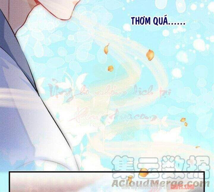 Tôi Trở Thành Tổ Tông Của 5 Vị Đại Lão Chapter 8 - 67