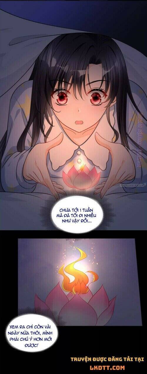 Tôi Trở Thành Tổ Tông Của 5 Vị Đại Lão Chapter 64 - 14
