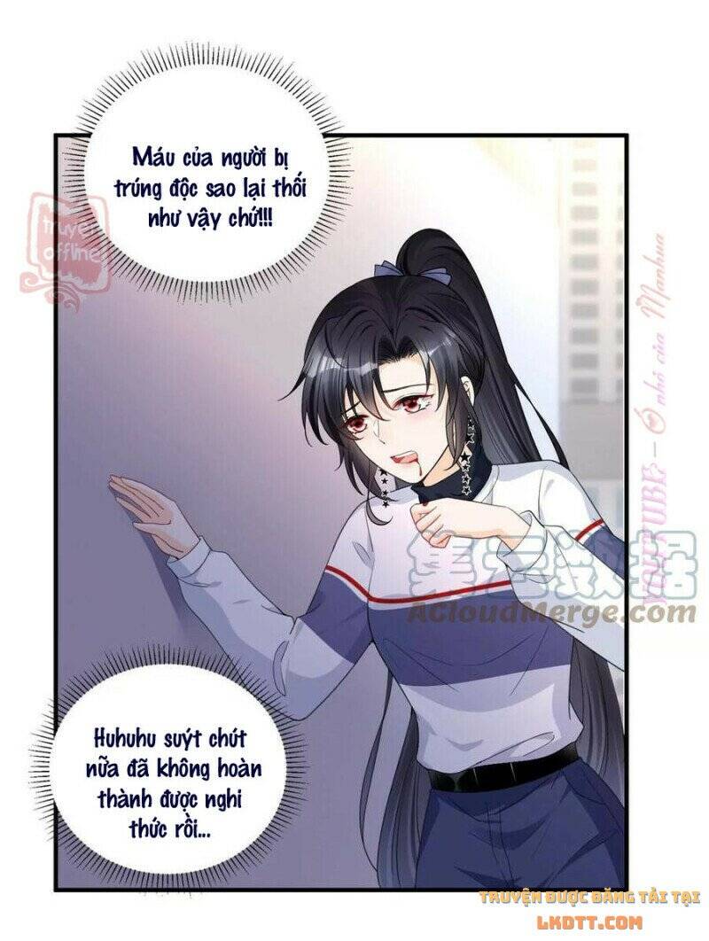 Tôi Trở Thành Tổ Tông Của 5 Vị Đại Lão Chapter 73 - 8