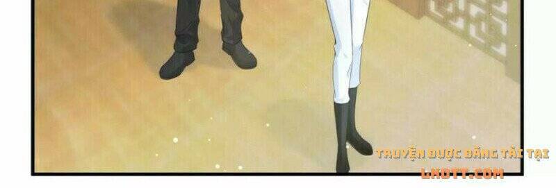 Tôi Trở Thành Tổ Tông Của 5 Vị Đại Lão Chapter 81 - 4