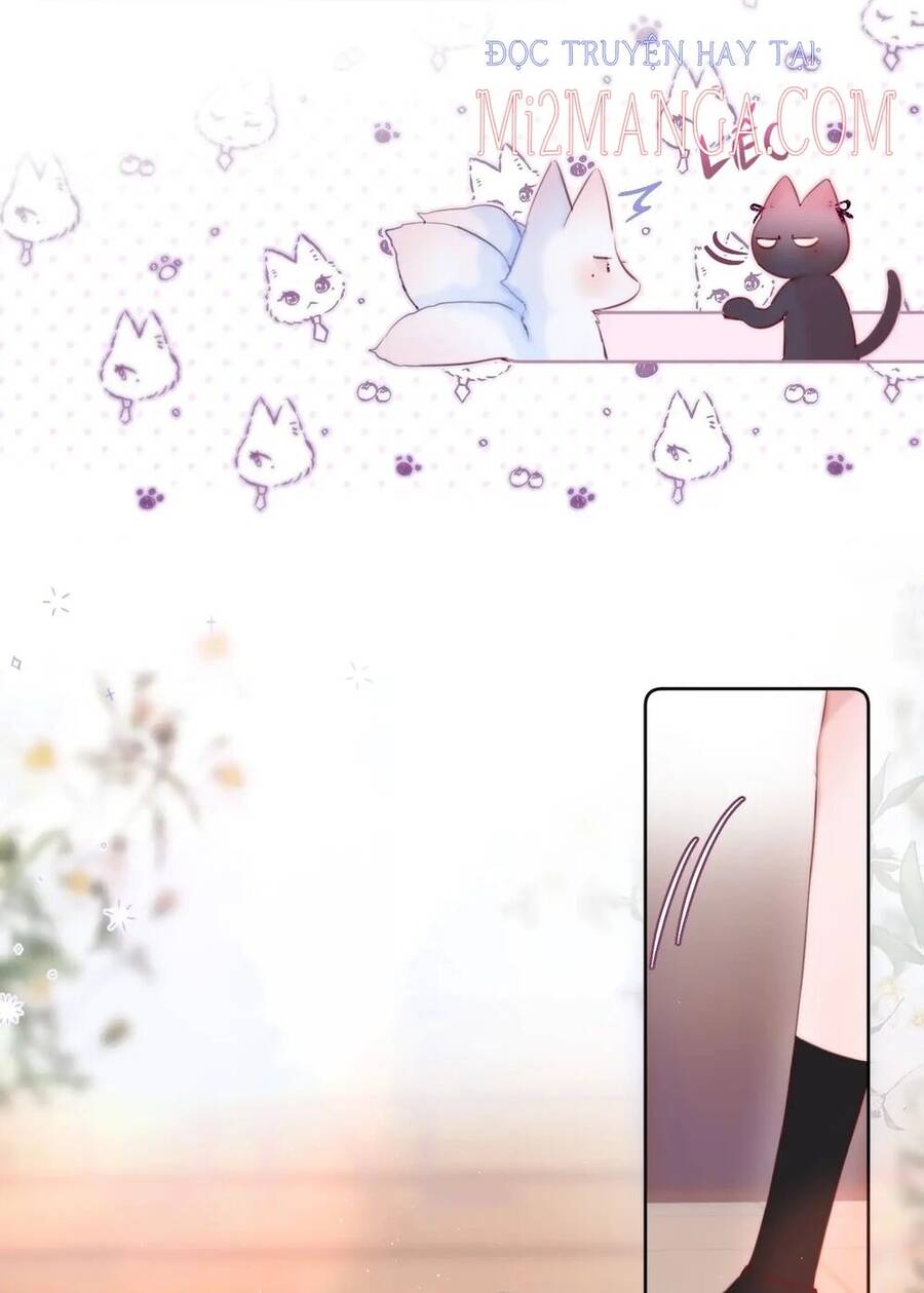 Cạm Bẫy Của Hồ Ly Chapter 20 - 12