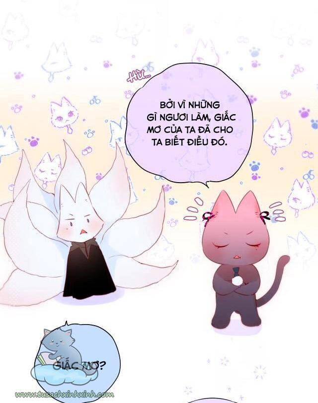 Cạm Bẫy Của Hồ Ly Chapter 22 - 7