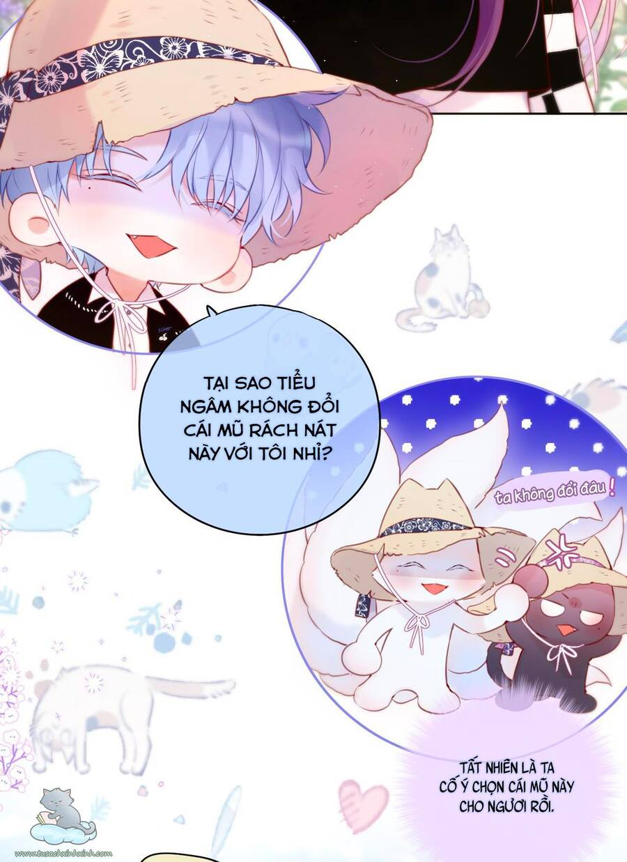 Cạm Bẫy Của Hồ Ly Chapter 23 - 12