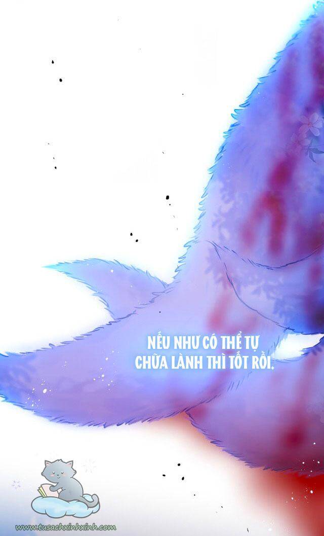 Cạm Bẫy Của Hồ Ly Chapter 28 - 13