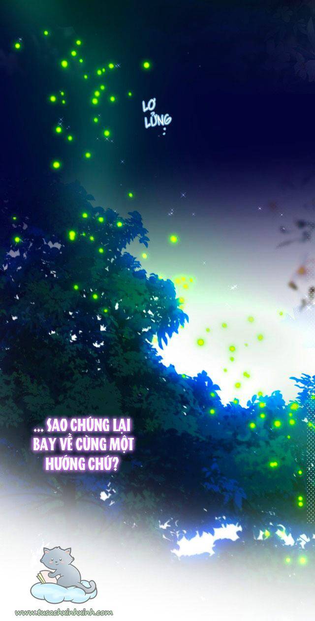 Cạm Bẫy Của Hồ Ly Chapter 28 - 36