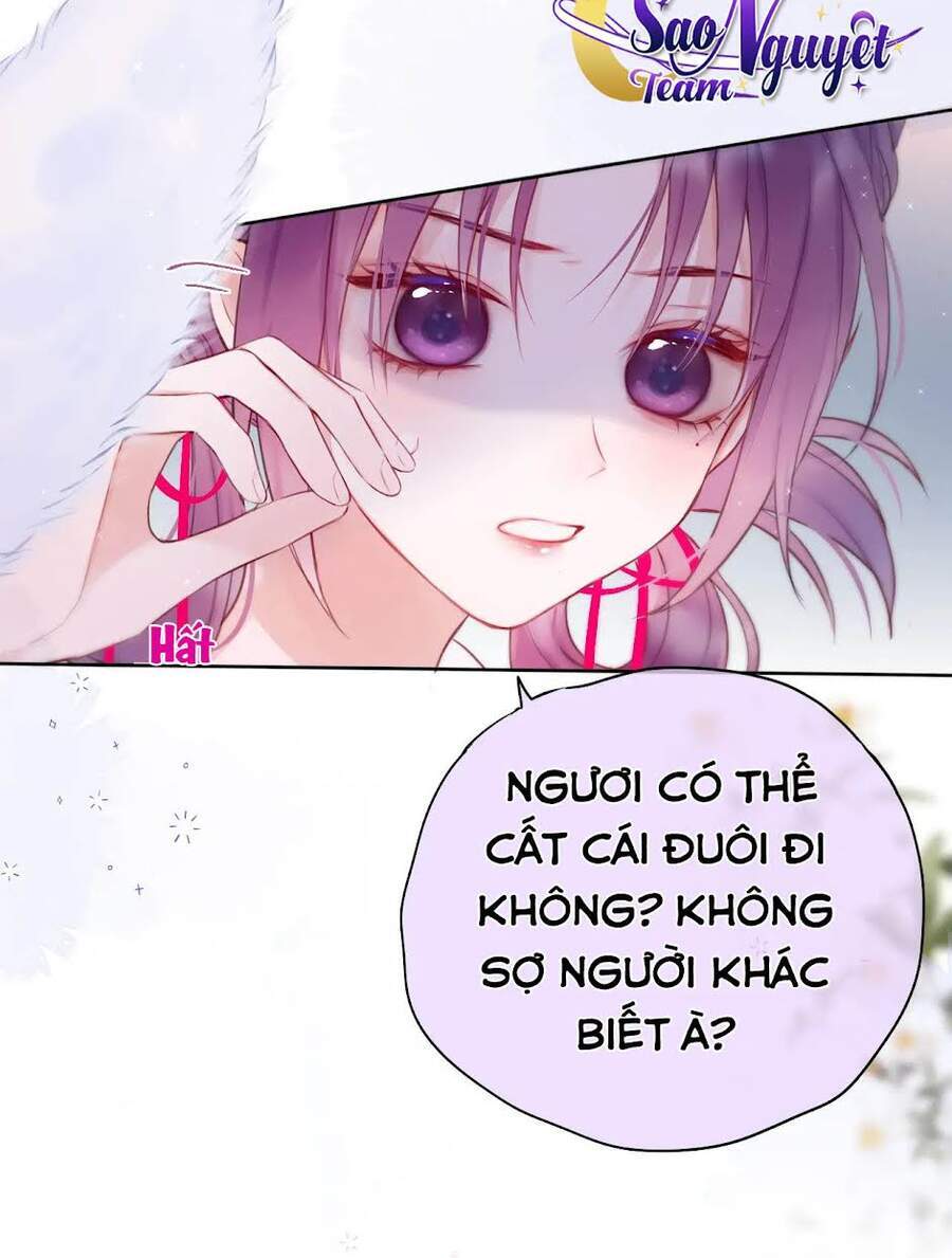 Cạm Bẫy Của Hồ Ly Chapter 6 - 17