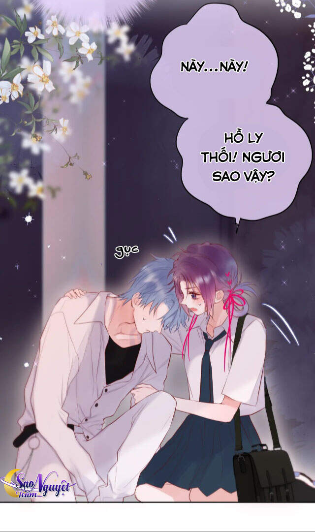 Cạm Bẫy Của Hồ Ly Chapter 8 - 21