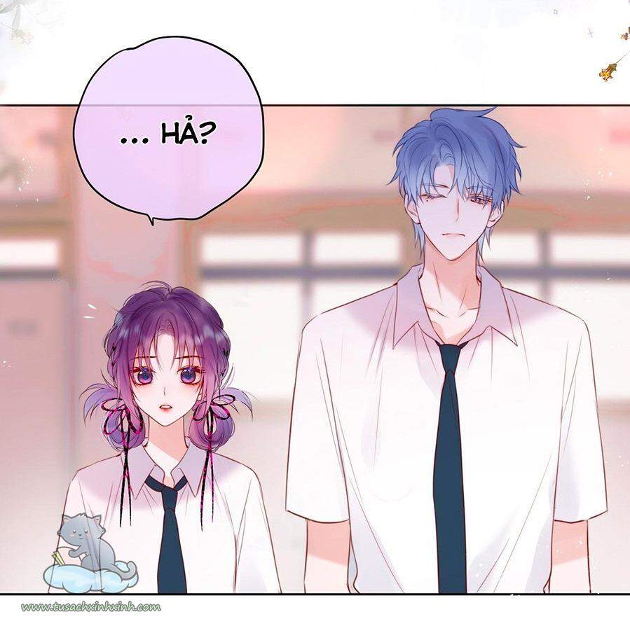 Cạm Bẫy Của Hồ Ly Chapter 16 - 24